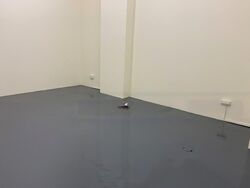 A'posh Bizhub (D27), Factory #576568721
